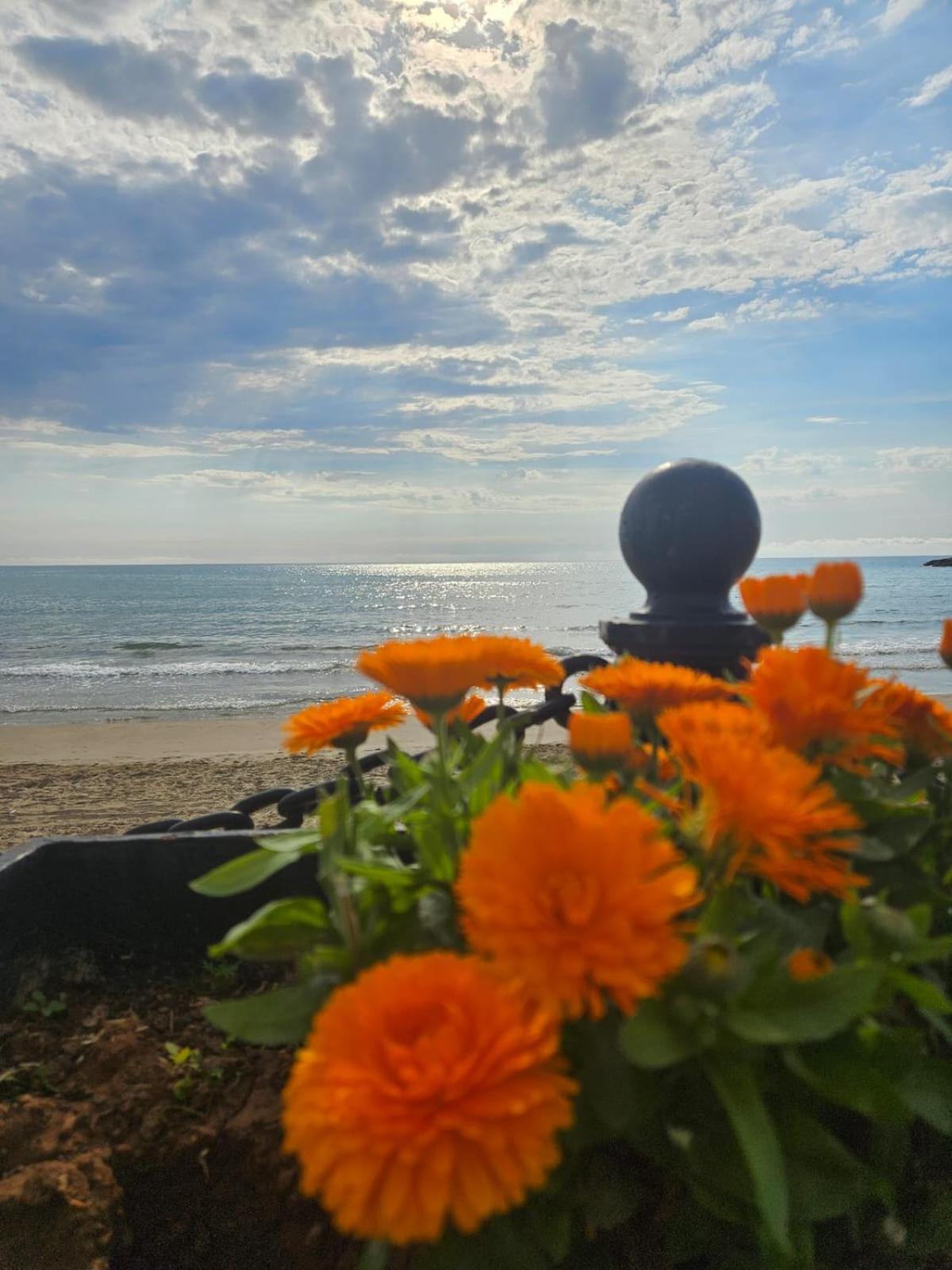 Mondrian Magic World - Sea View First Line Of The Beach Oropesa del Mar Buitenkant foto