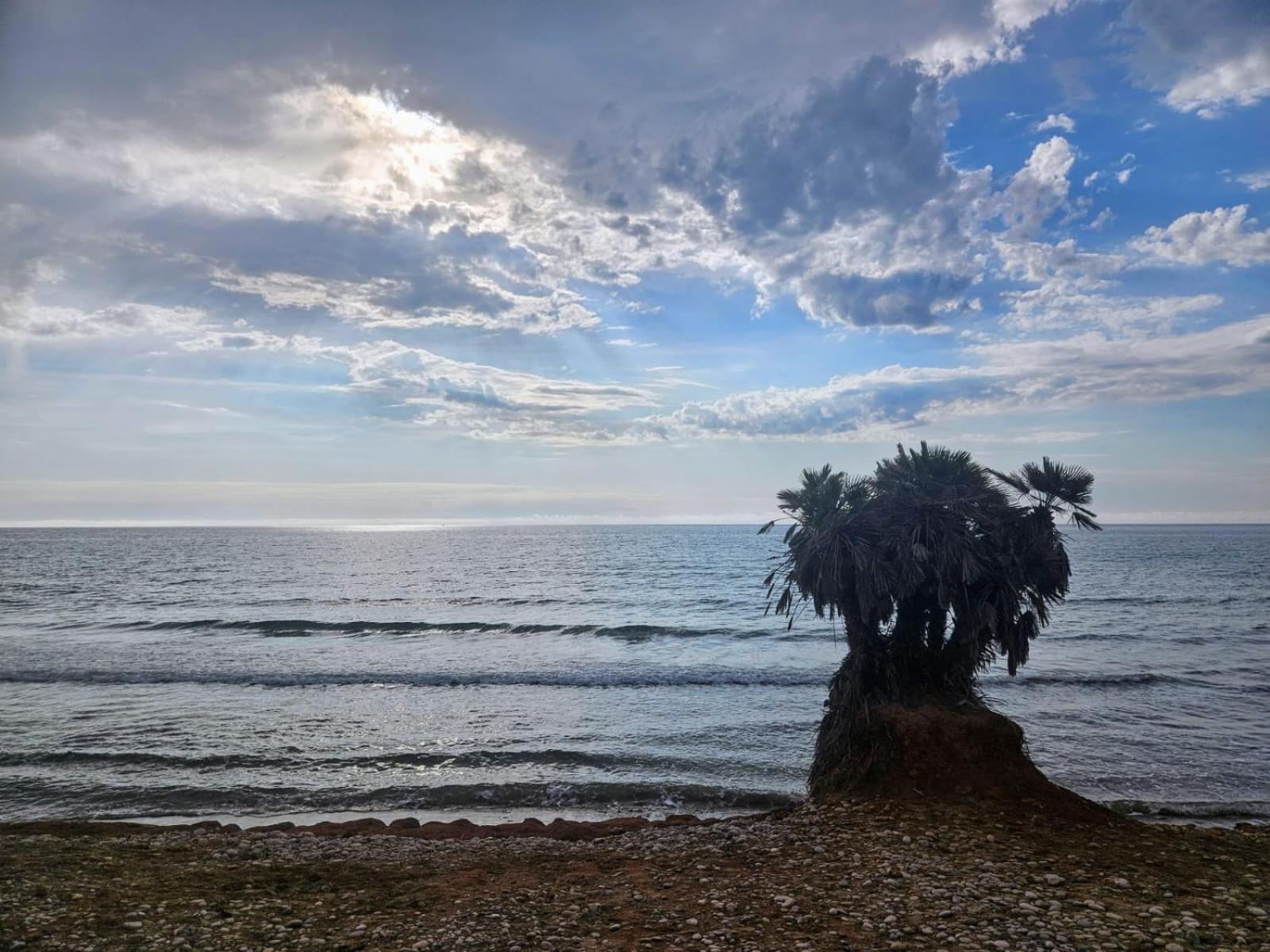 Mondrian Magic World - Sea View First Line Of The Beach Oropesa del Mar Buitenkant foto