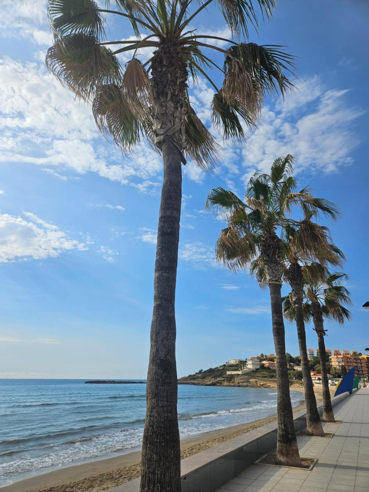 Mondrian Magic World - Sea View First Line Of The Beach Oropesa del Mar Buitenkant foto