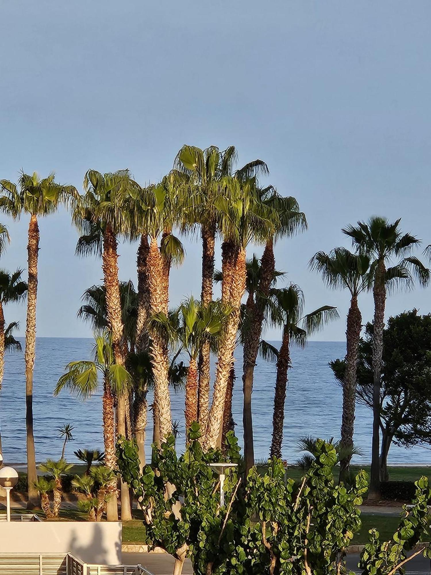Mondrian Magic World - Sea View First Line Of The Beach Oropesa del Mar Buitenkant foto